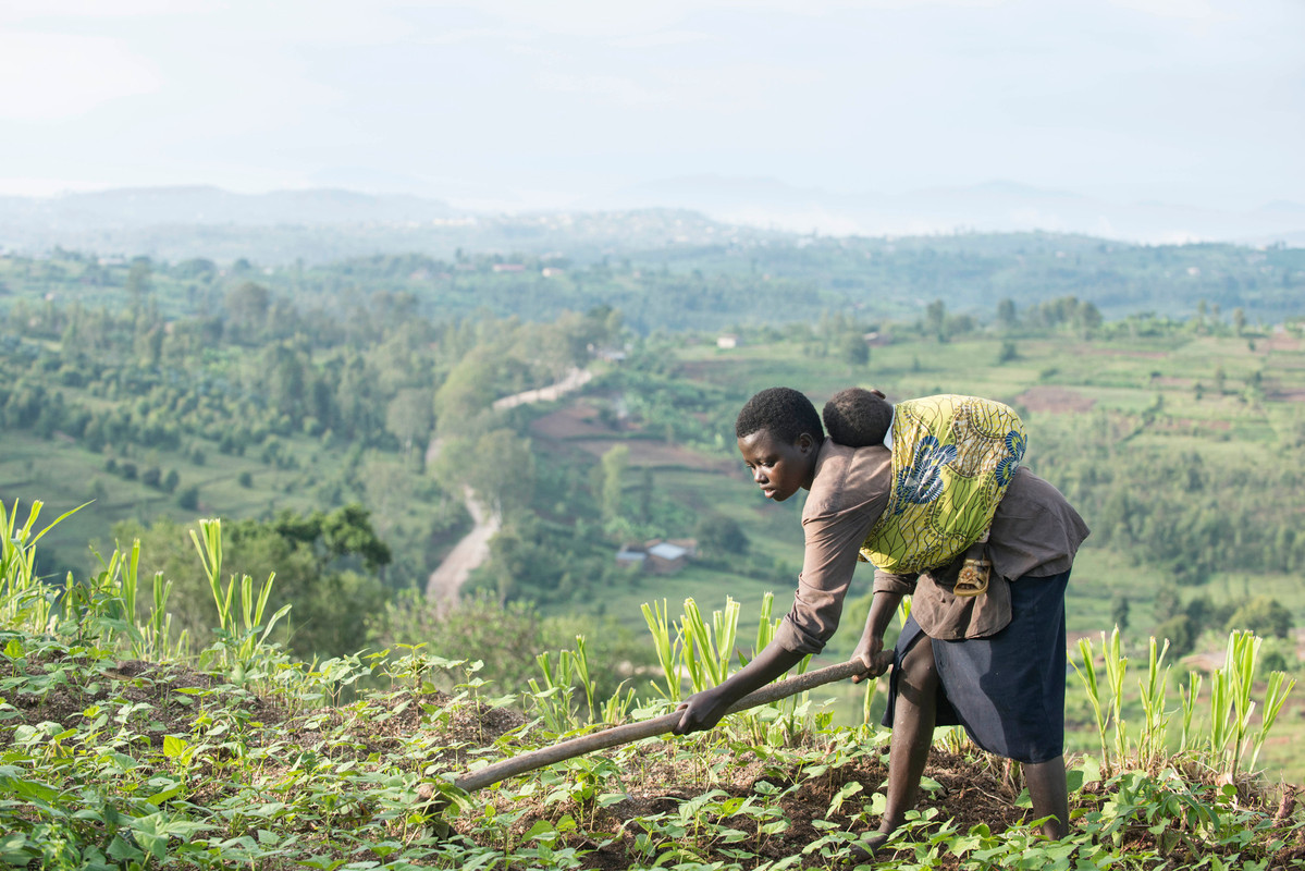 A Global Agriculture Fund That Delivers for Poor Farmers