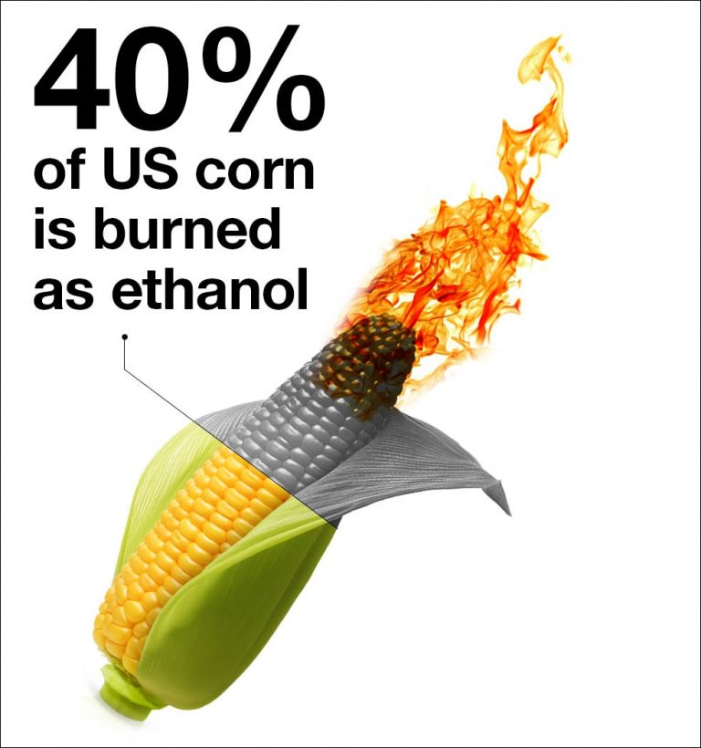 There Is an Alternative to Ethanol and Agribusiness in Rural America