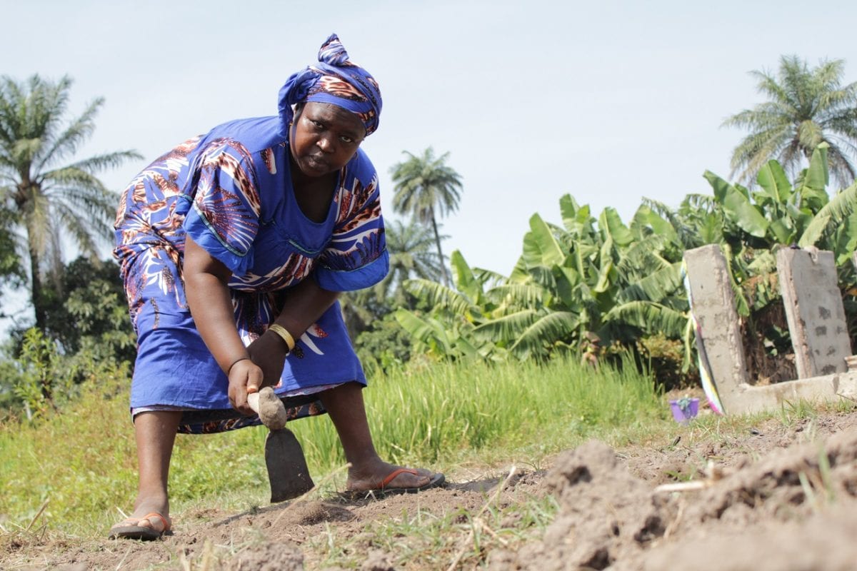 The Food and Agriculture Sector Development Project in The Gambia ...