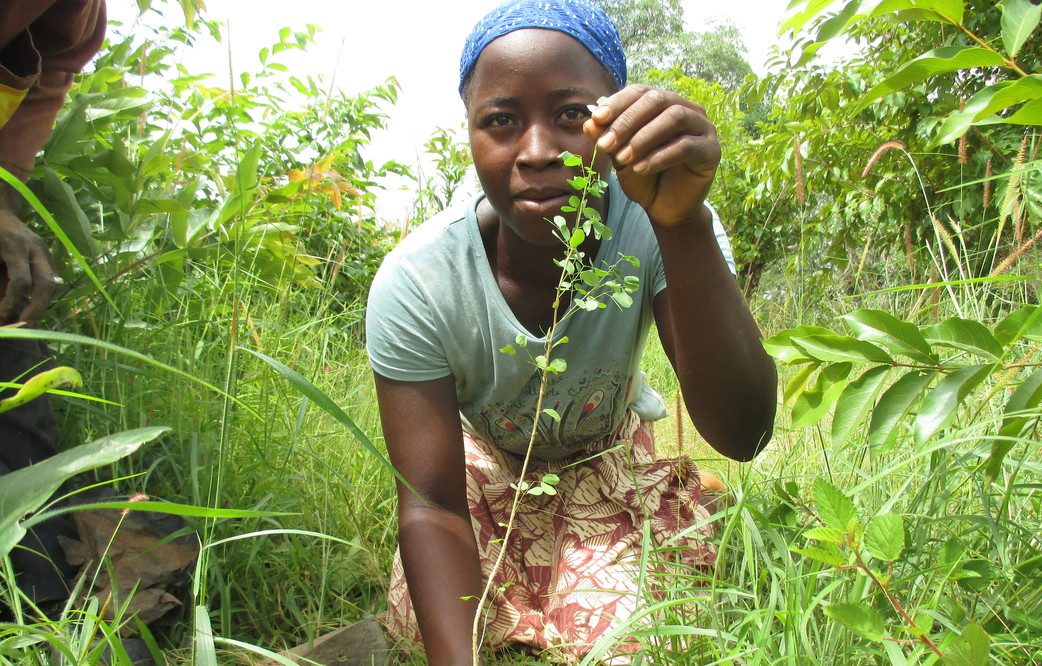 Advancing the rights of women smallholder farmers – lessons from COVID ...