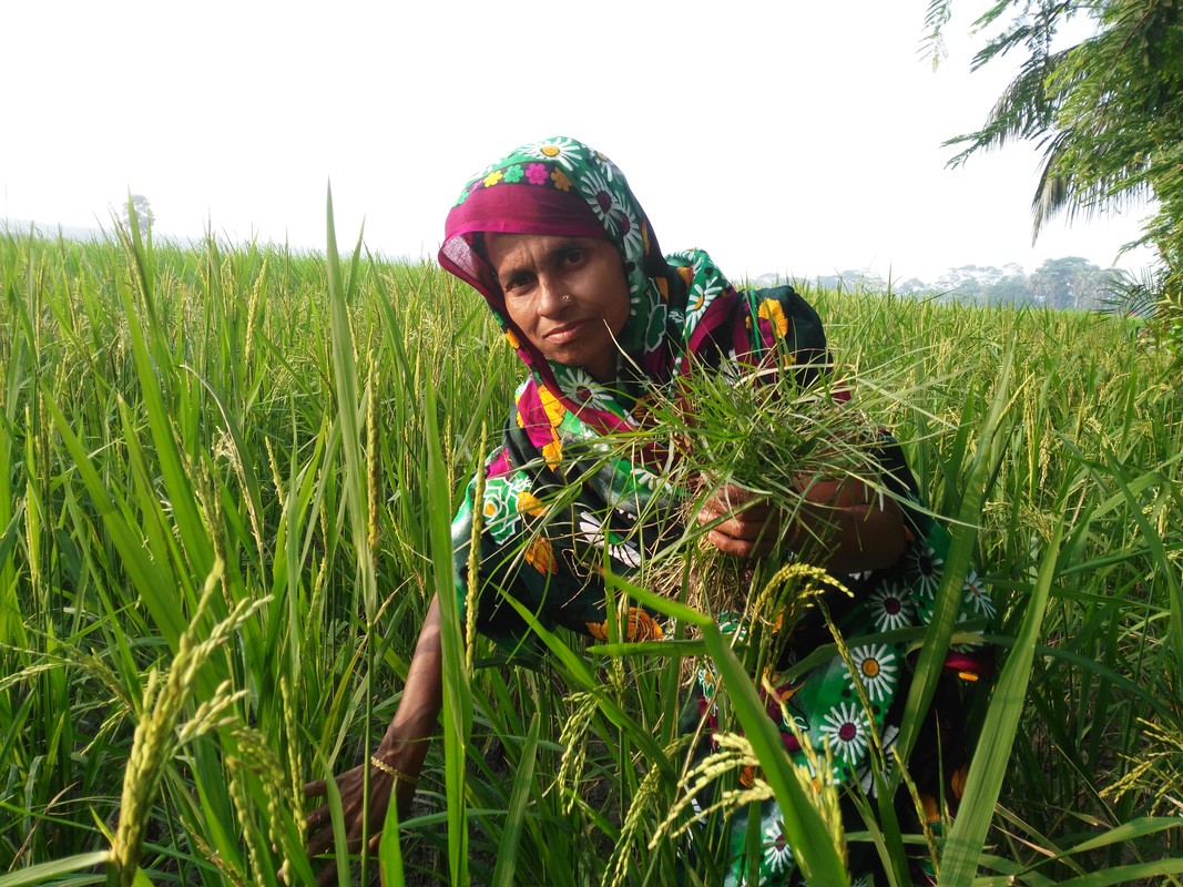 Will the UN Food Systems Summit really solve hunger and climate change ...