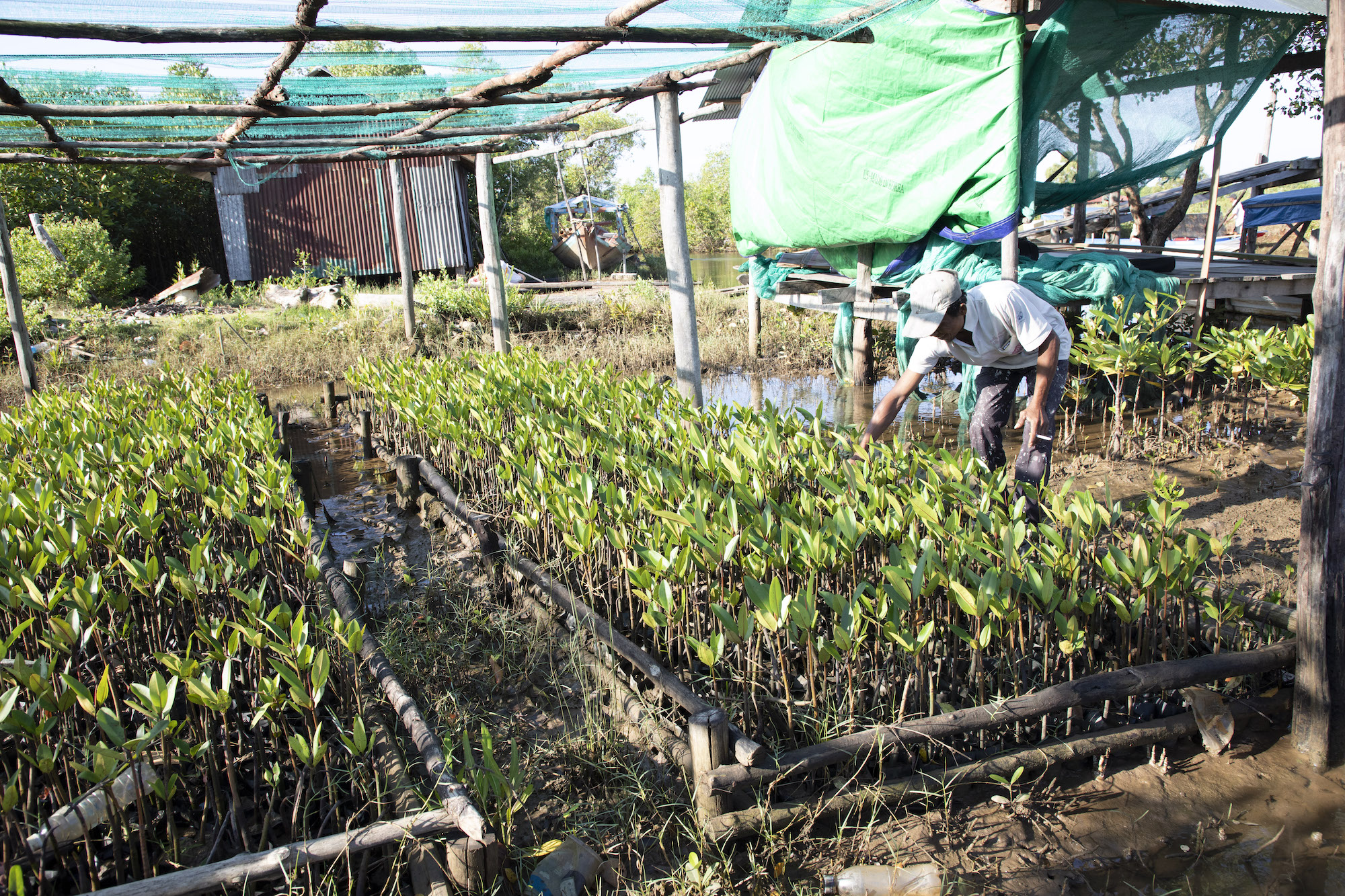 Public Spending on Agroecology in Nepal and Cambodia - A Baseline ...